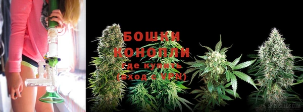 дурь Волосово